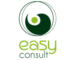 Logo-ul Easy Consult